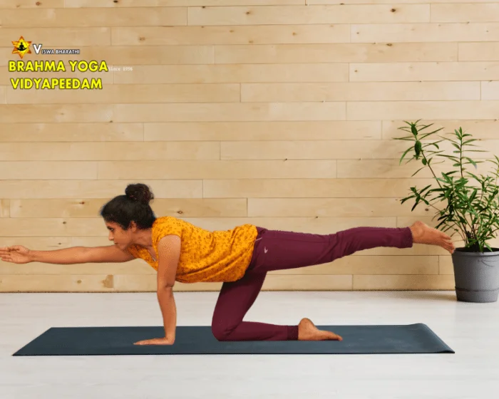 Weight Loss Yoga Classes Online